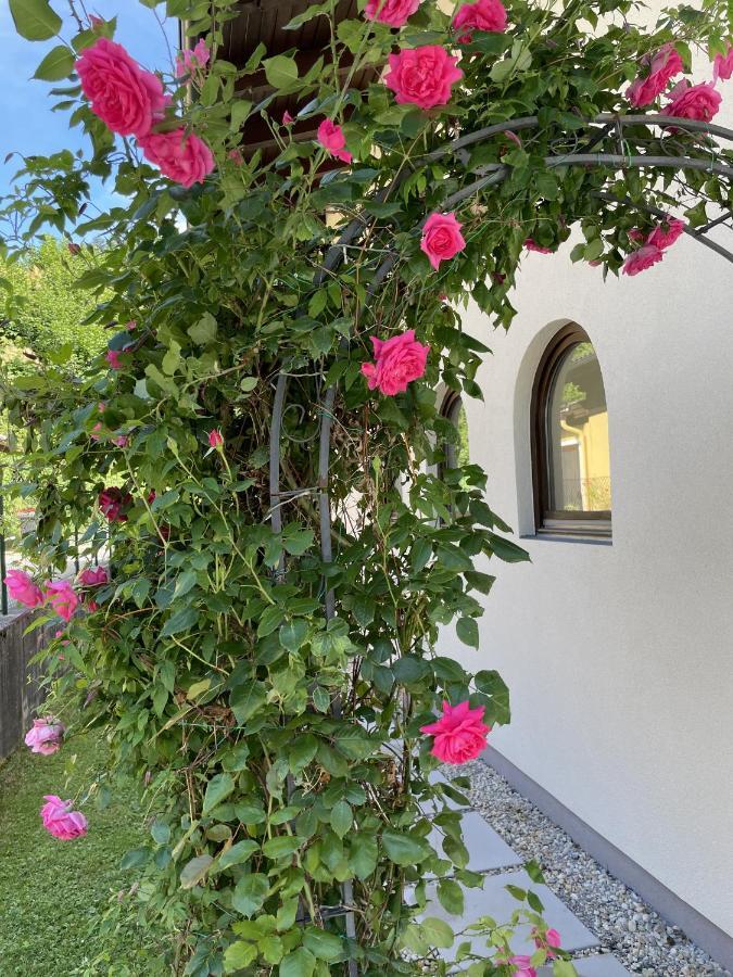 Appartement Erlbacher Lungötz Eksteriør billede